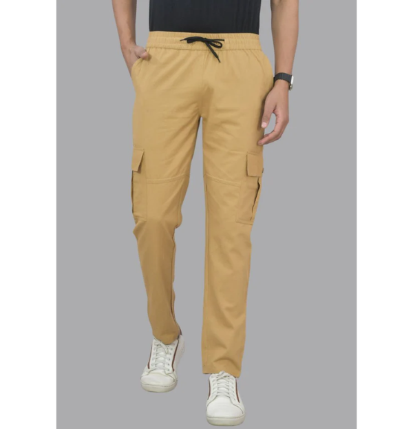 Men Cargos Pack of 1